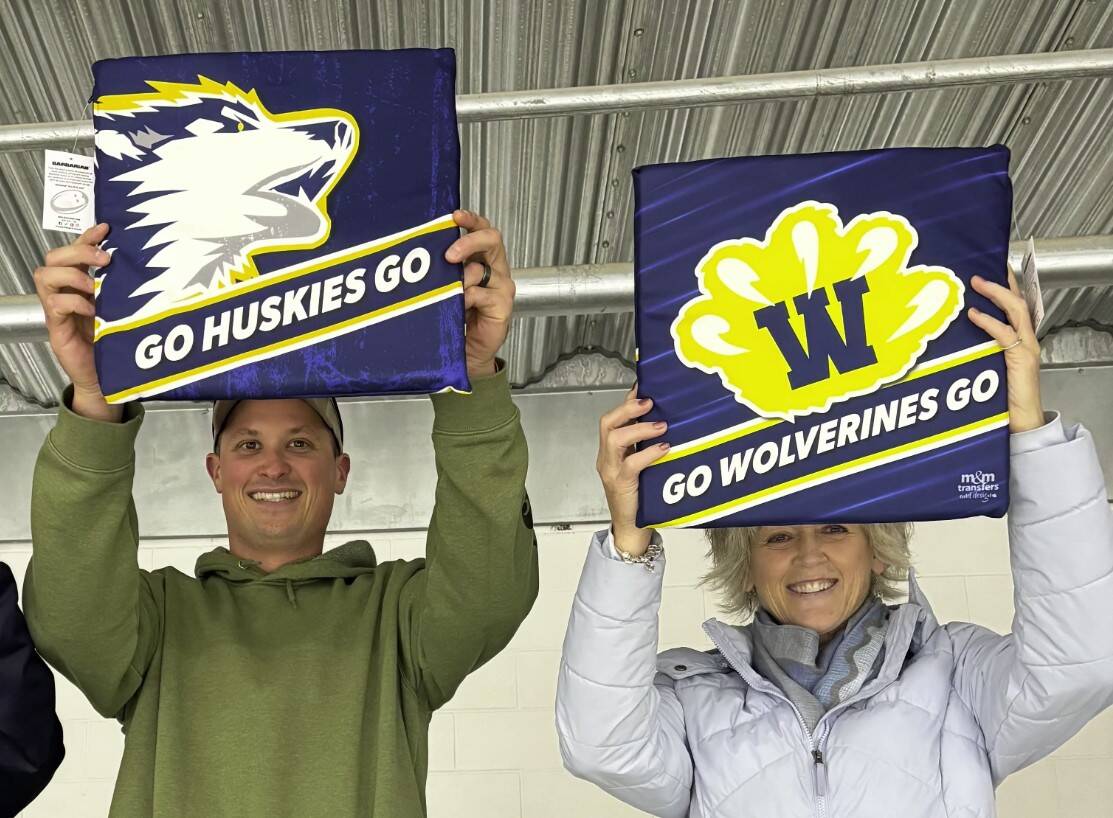 40a. Cheer Cushion (1 of 2)